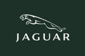 JAGUAR (image for) JAGUAR